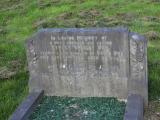 image of grave number 845862